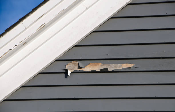 Reliable La Crescent, MN Siding Solutions